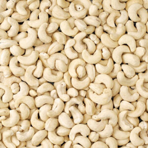 The Cashew Journey: A Look Inside Pajson Agro’s Operations