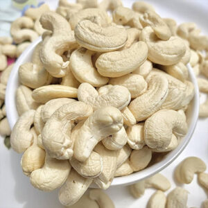A Behind-the-Scenes Look at Pajson Agro’s Cashew…